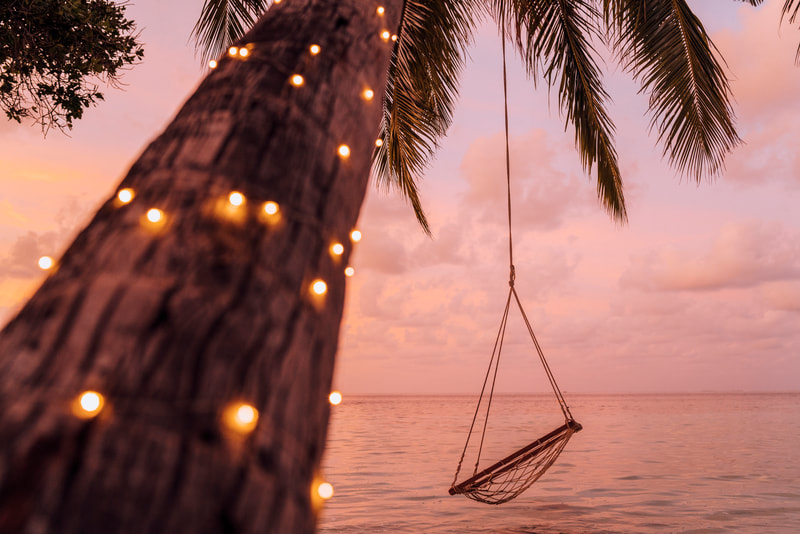 Palm tree with firefly lights and hammock at sunset